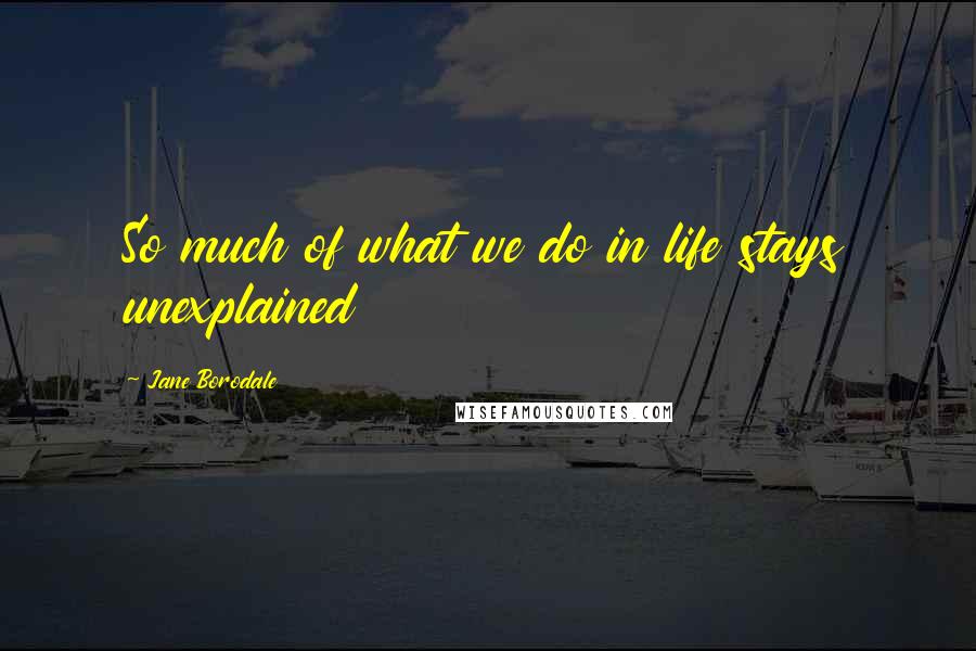 Jane Borodale Quotes: So much of what we do in life stays unexplained