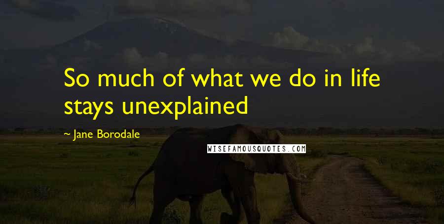 Jane Borodale Quotes: So much of what we do in life stays unexplained
