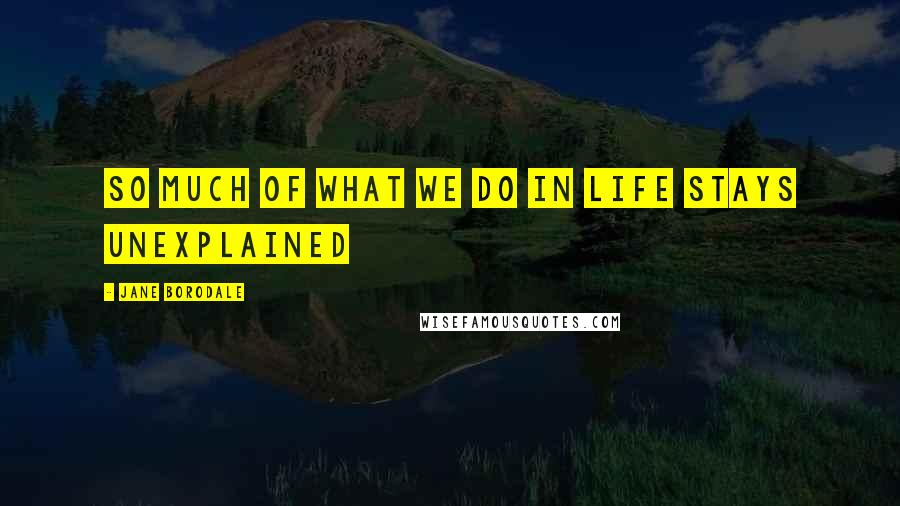 Jane Borodale Quotes: So much of what we do in life stays unexplained