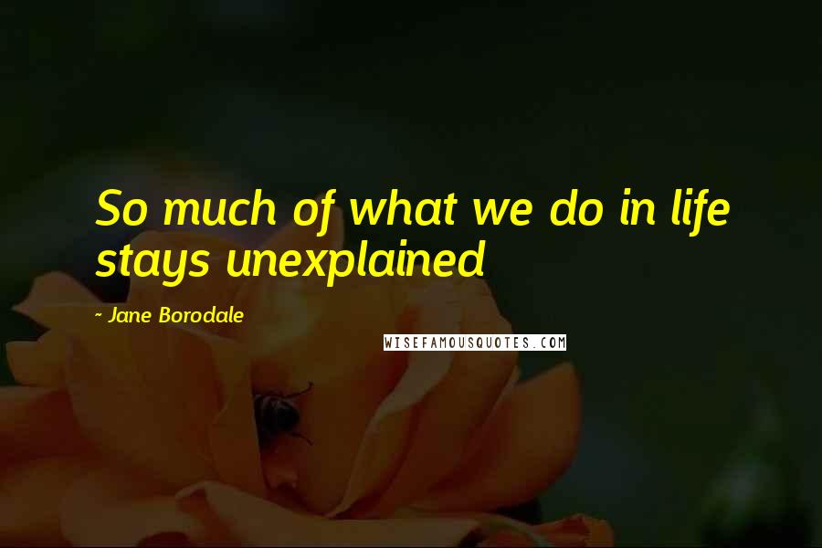 Jane Borodale Quotes: So much of what we do in life stays unexplained