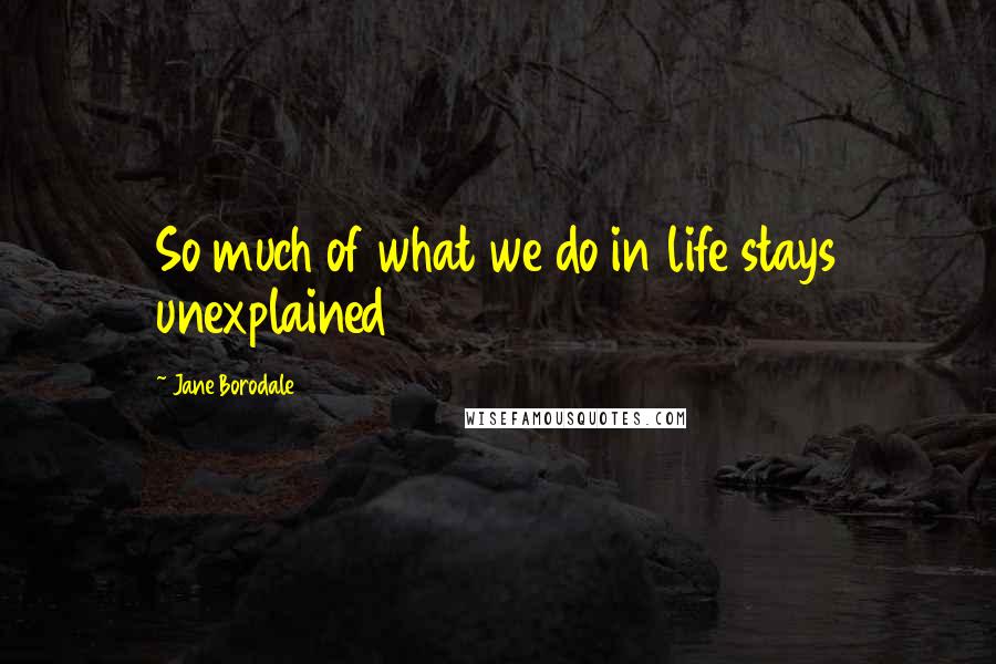 Jane Borodale Quotes: So much of what we do in life stays unexplained