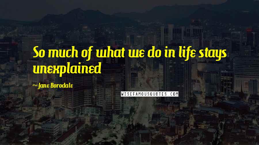 Jane Borodale Quotes: So much of what we do in life stays unexplained