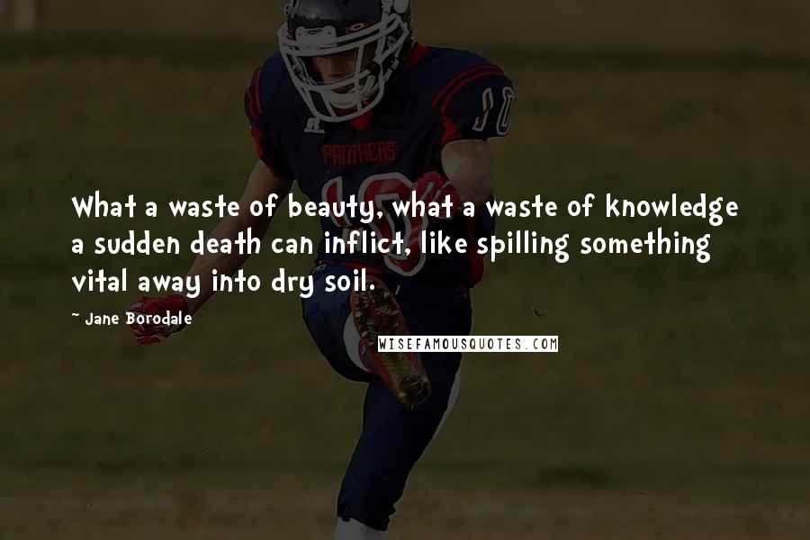 Jane Borodale Quotes: What a waste of beauty, what a waste of knowledge a sudden death can inflict, like spilling something vital away into dry soil.