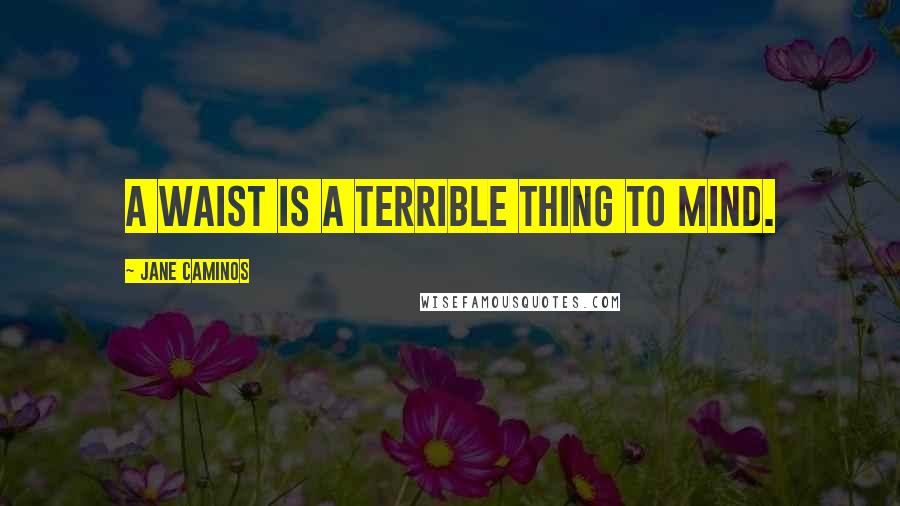 Jane Caminos Quotes: A waist is a terrible thing to mind.