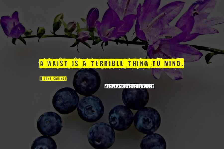 Jane Caminos Quotes: A waist is a terrible thing to mind.
