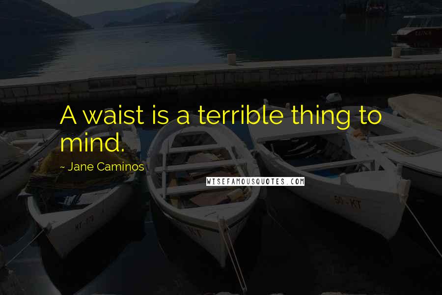 Jane Caminos Quotes: A waist is a terrible thing to mind.