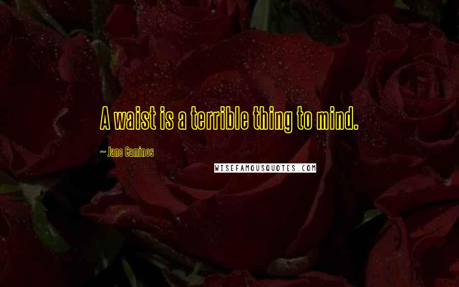 Jane Caminos Quotes: A waist is a terrible thing to mind.