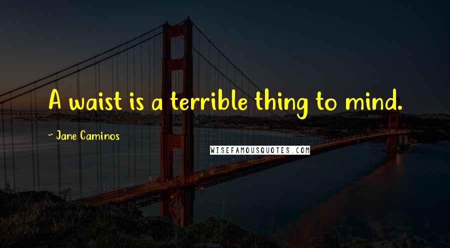 Jane Caminos Quotes: A waist is a terrible thing to mind.