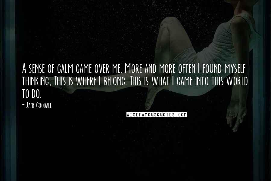 Jane Goodall Quotes: A sense of calm came over me. More and more often I found myself thinking, This is where I belong. This is what I came into this world to do.