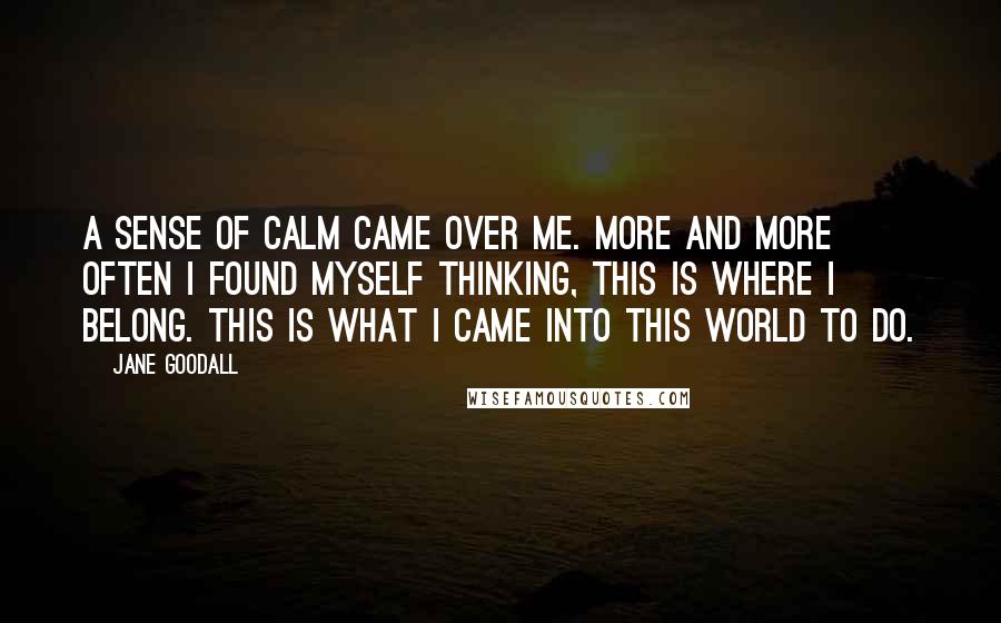 Jane Goodall Quotes: A sense of calm came over me. More and more often I found myself thinking, This is where I belong. This is what I came into this world to do.