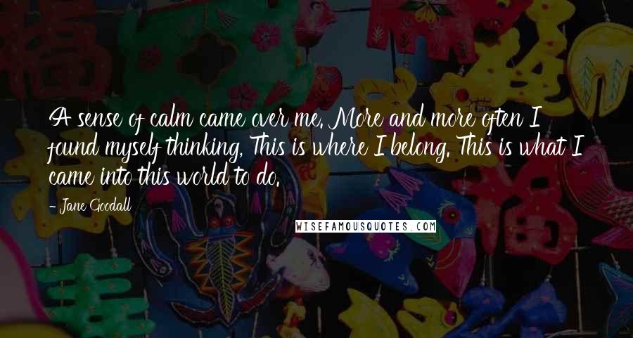 Jane Goodall Quotes: A sense of calm came over me. More and more often I found myself thinking, This is where I belong. This is what I came into this world to do.