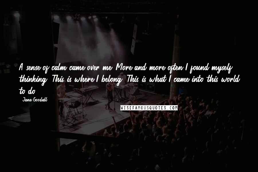 Jane Goodall Quotes: A sense of calm came over me. More and more often I found myself thinking, This is where I belong. This is what I came into this world to do.