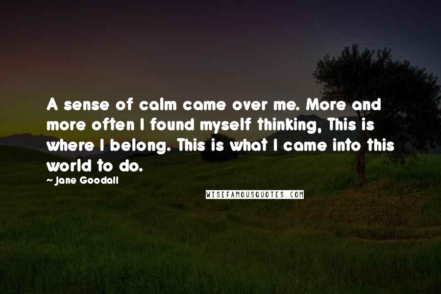 Jane Goodall Quotes: A sense of calm came over me. More and more often I found myself thinking, This is where I belong. This is what I came into this world to do.