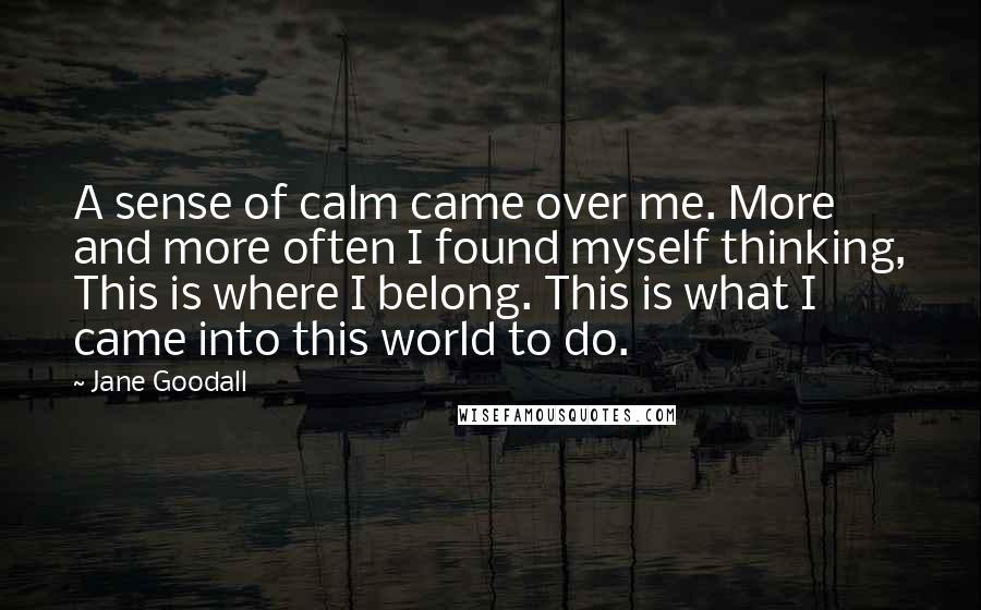 Jane Goodall Quotes: A sense of calm came over me. More and more often I found myself thinking, This is where I belong. This is what I came into this world to do.