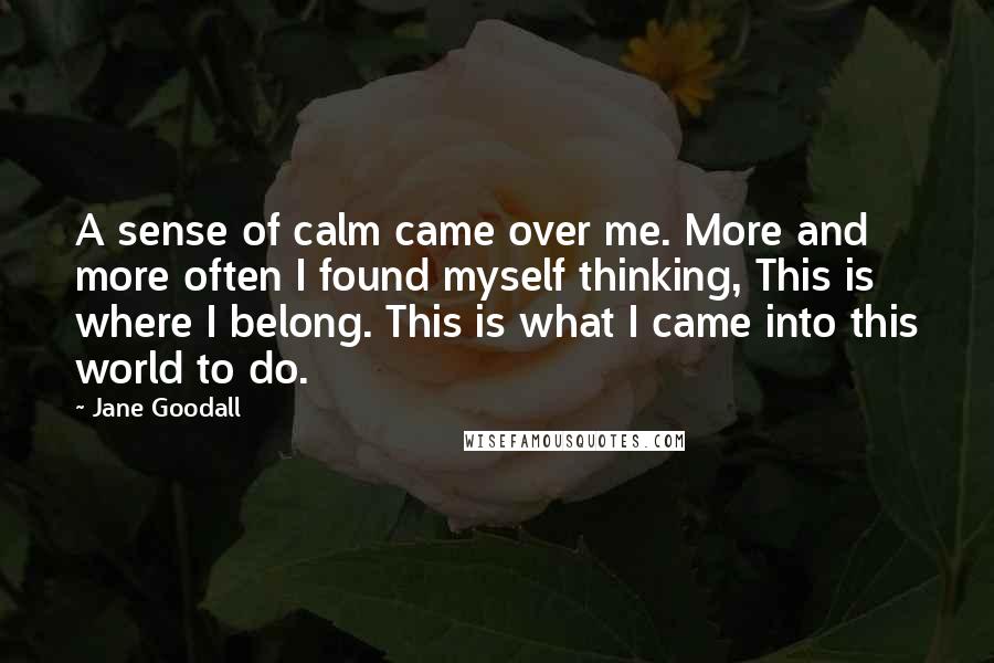 Jane Goodall Quotes: A sense of calm came over me. More and more often I found myself thinking, This is where I belong. This is what I came into this world to do.