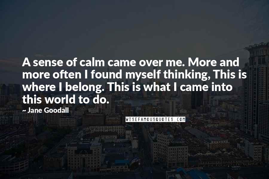 Jane Goodall Quotes: A sense of calm came over me. More and more often I found myself thinking, This is where I belong. This is what I came into this world to do.