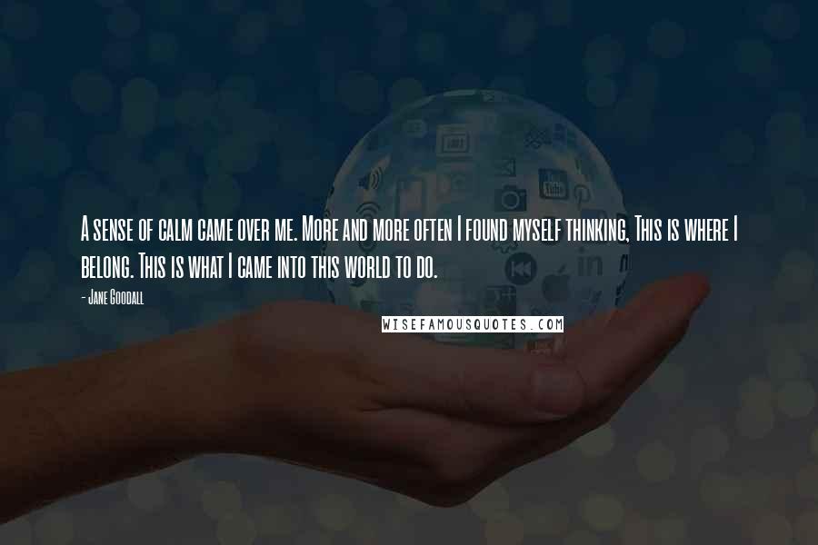 Jane Goodall Quotes: A sense of calm came over me. More and more often I found myself thinking, This is where I belong. This is what I came into this world to do.