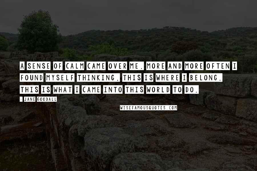 Jane Goodall Quotes: A sense of calm came over me. More and more often I found myself thinking, This is where I belong. This is what I came into this world to do.