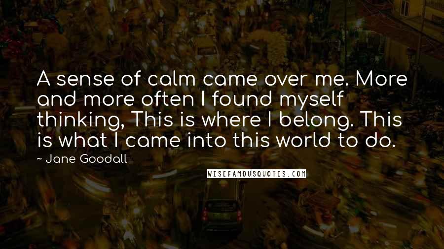 Jane Goodall Quotes: A sense of calm came over me. More and more often I found myself thinking, This is where I belong. This is what I came into this world to do.