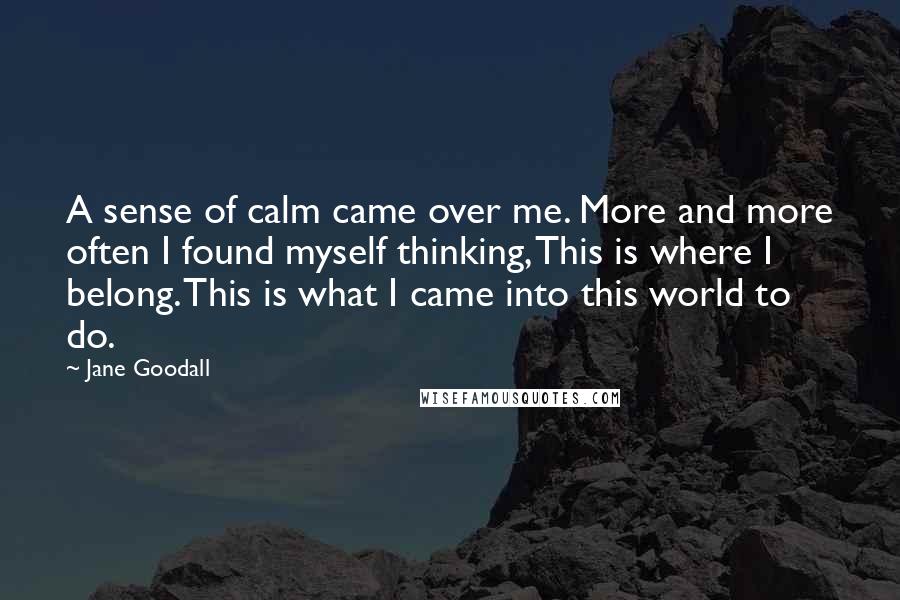 Jane Goodall Quotes: A sense of calm came over me. More and more often I found myself thinking, This is where I belong. This is what I came into this world to do.