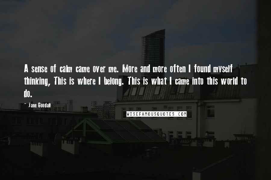 Jane Goodall Quotes: A sense of calm came over me. More and more often I found myself thinking, This is where I belong. This is what I came into this world to do.