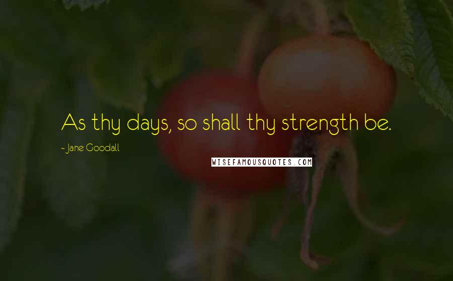 Jane Goodall Quotes: As thy days, so shall thy strength be.