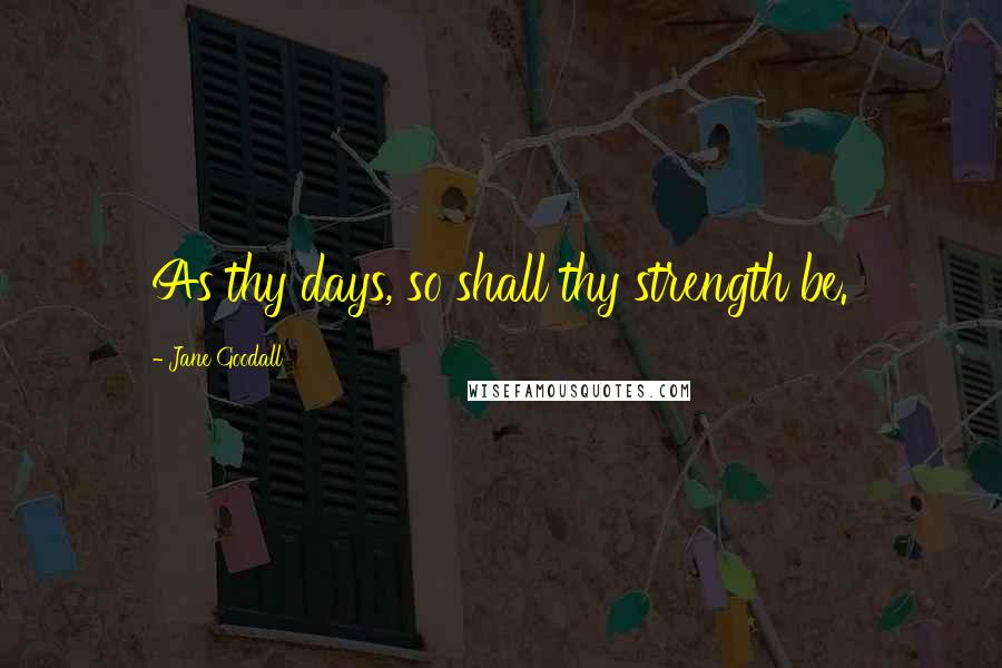 Jane Goodall Quotes: As thy days, so shall thy strength be.