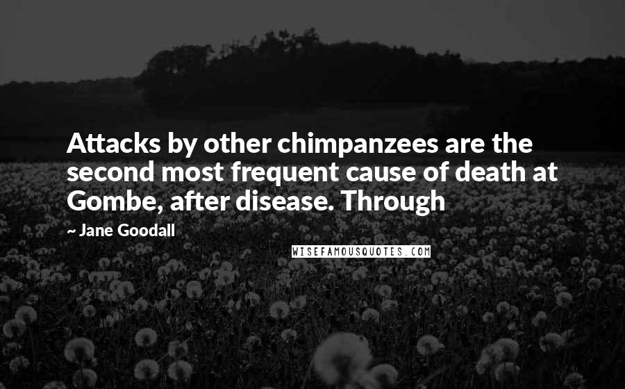 Jane Goodall Quotes: Attacks by other chimpanzees are the second most frequent cause of death at Gombe, after disease. Through