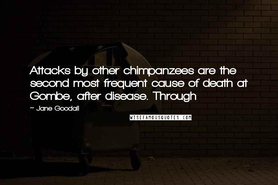 Jane Goodall Quotes: Attacks by other chimpanzees are the second most frequent cause of death at Gombe, after disease. Through