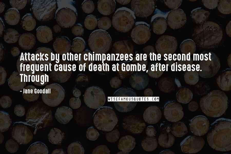 Jane Goodall Quotes: Attacks by other chimpanzees are the second most frequent cause of death at Gombe, after disease. Through