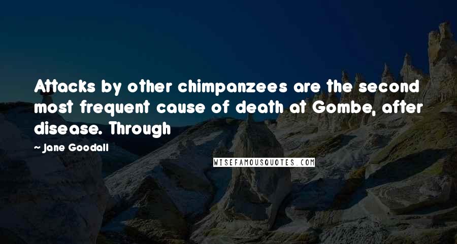 Jane Goodall Quotes: Attacks by other chimpanzees are the second most frequent cause of death at Gombe, after disease. Through
