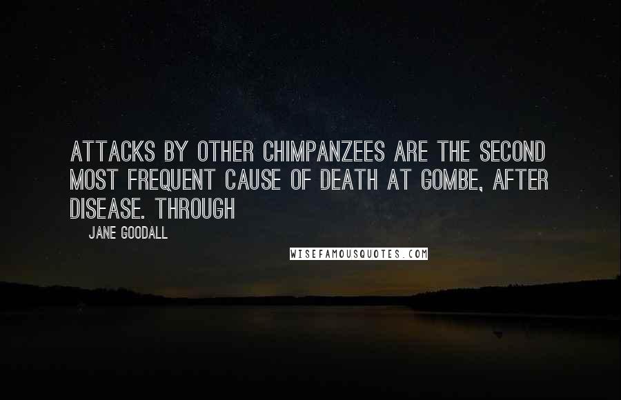 Jane Goodall Quotes: Attacks by other chimpanzees are the second most frequent cause of death at Gombe, after disease. Through