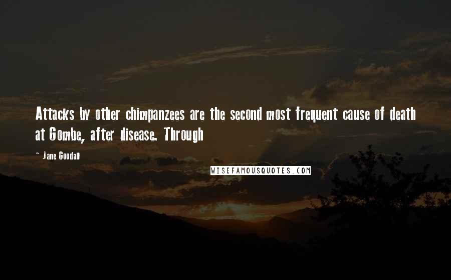 Jane Goodall Quotes: Attacks by other chimpanzees are the second most frequent cause of death at Gombe, after disease. Through