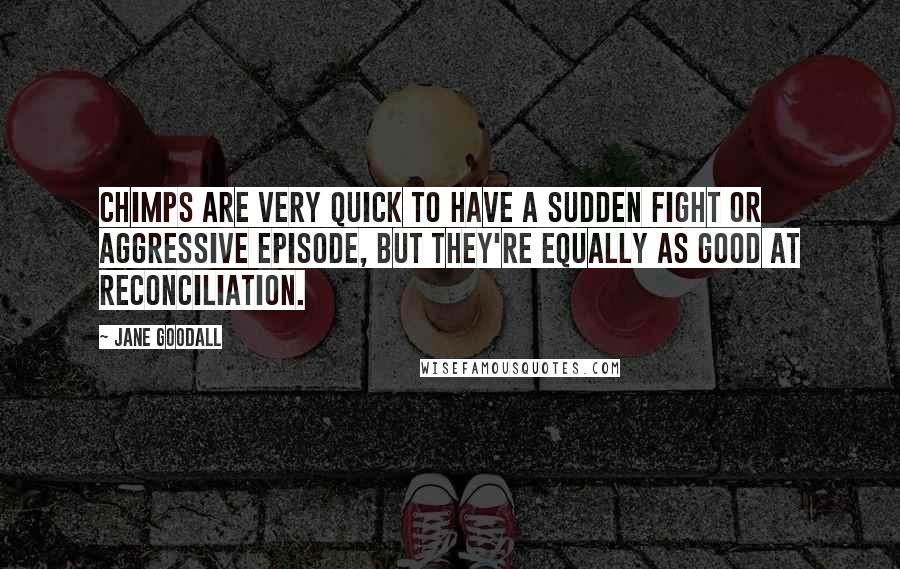 Jane Goodall Quotes: Chimps are very quick to have a sudden fight or aggressive episode, but they're equally as good at reconciliation.