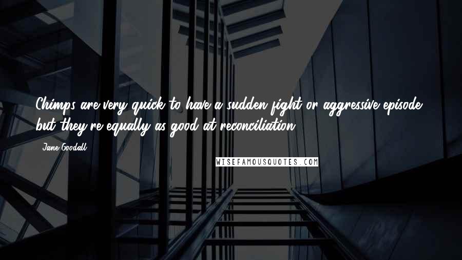 Jane Goodall Quotes: Chimps are very quick to have a sudden fight or aggressive episode, but they're equally as good at reconciliation.