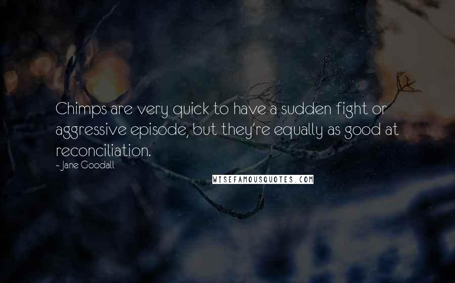 Jane Goodall Quotes: Chimps are very quick to have a sudden fight or aggressive episode, but they're equally as good at reconciliation.