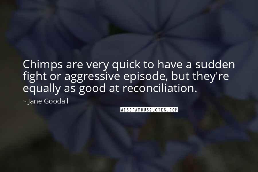 Jane Goodall Quotes: Chimps are very quick to have a sudden fight or aggressive episode, but they're equally as good at reconciliation.