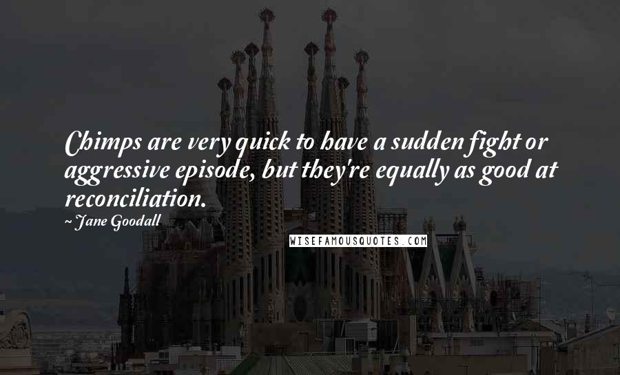 Jane Goodall Quotes: Chimps are very quick to have a sudden fight or aggressive episode, but they're equally as good at reconciliation.