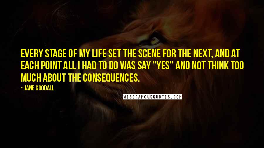 Jane Goodall Quotes: Every stage of my life set the scene for the next, and at each point all I had to do was say "yes" and not think too much about the consequences.