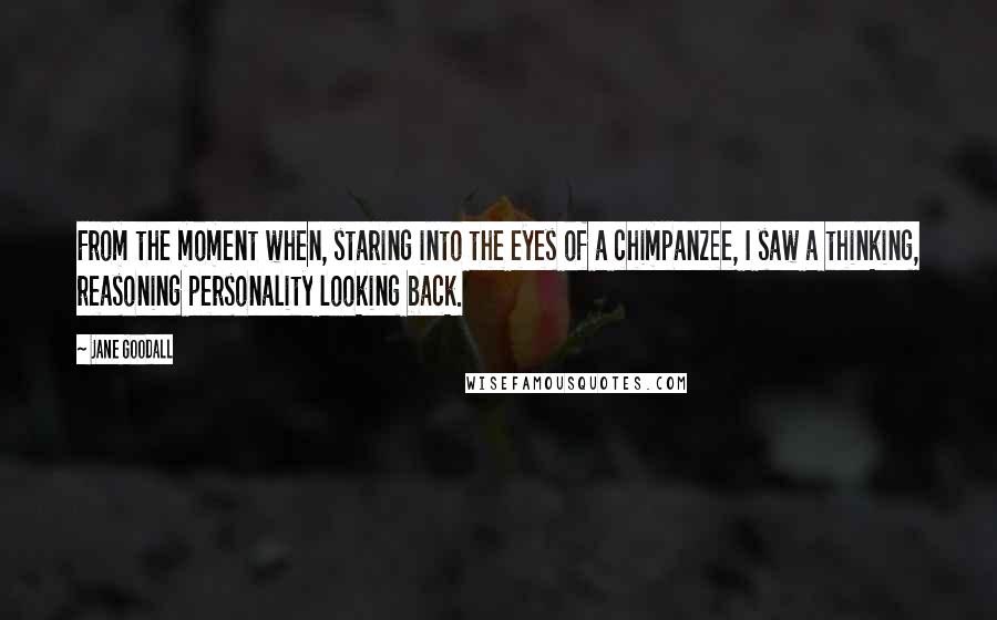 Jane Goodall Quotes: From the moment when, staring into the eyes of a chimpanzee, I saw a thinking, reasoning personality looking back.