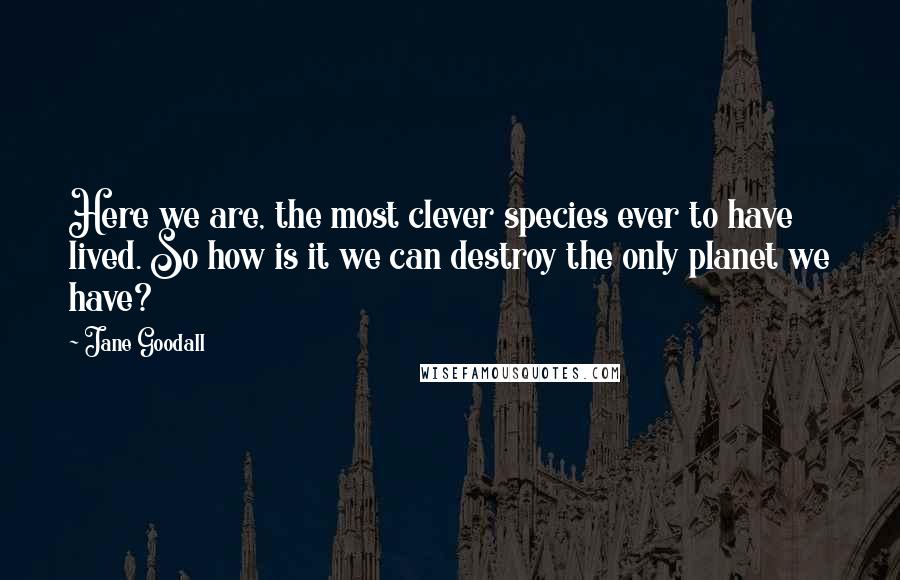 Jane Goodall Quotes: Here we are, the most clever species ever to have lived. So how is it we can destroy the only planet we have?