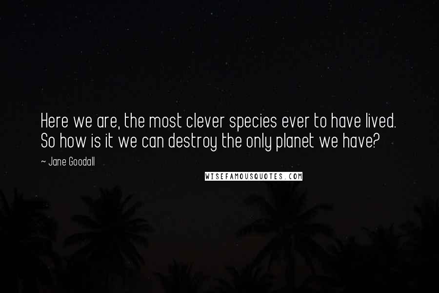 Jane Goodall Quotes: Here we are, the most clever species ever to have lived. So how is it we can destroy the only planet we have?