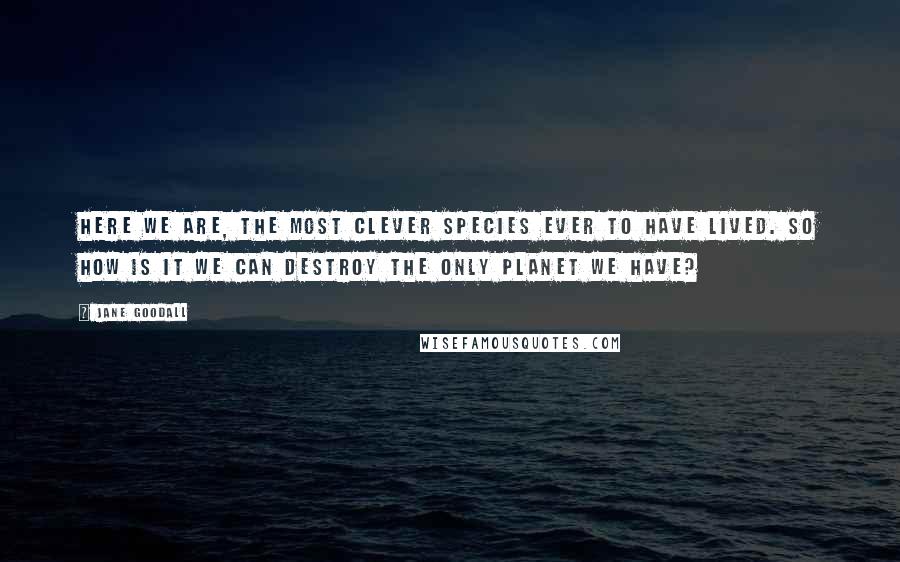 Jane Goodall Quotes: Here we are, the most clever species ever to have lived. So how is it we can destroy the only planet we have?