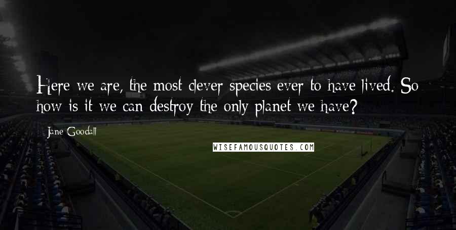 Jane Goodall Quotes: Here we are, the most clever species ever to have lived. So how is it we can destroy the only planet we have?