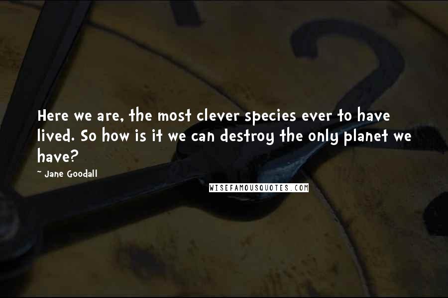 Jane Goodall Quotes: Here we are, the most clever species ever to have lived. So how is it we can destroy the only planet we have?