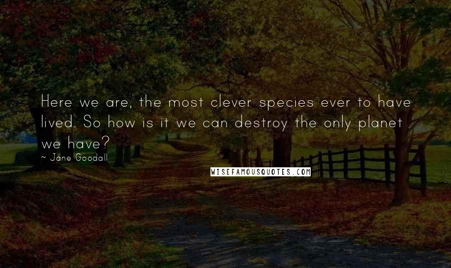 Jane Goodall Quotes: Here we are, the most clever species ever to have lived. So how is it we can destroy the only planet we have?