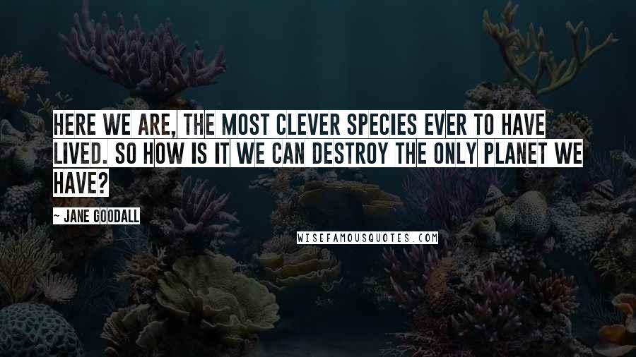 Jane Goodall Quotes: Here we are, the most clever species ever to have lived. So how is it we can destroy the only planet we have?