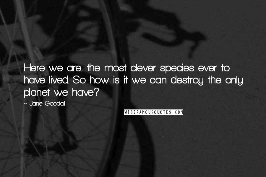 Jane Goodall Quotes: Here we are, the most clever species ever to have lived. So how is it we can destroy the only planet we have?