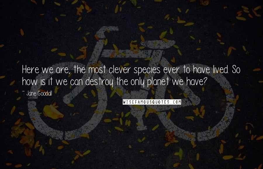 Jane Goodall Quotes: Here we are, the most clever species ever to have lived. So how is it we can destroy the only planet we have?