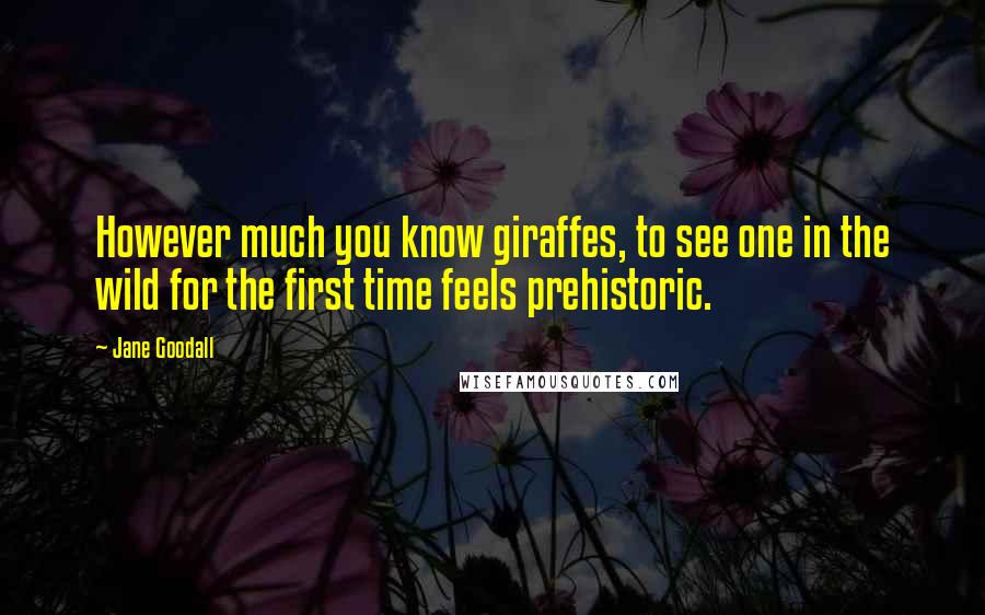 Jane Goodall Quotes: However much you know giraffes, to see one in the wild for the first time feels prehistoric.